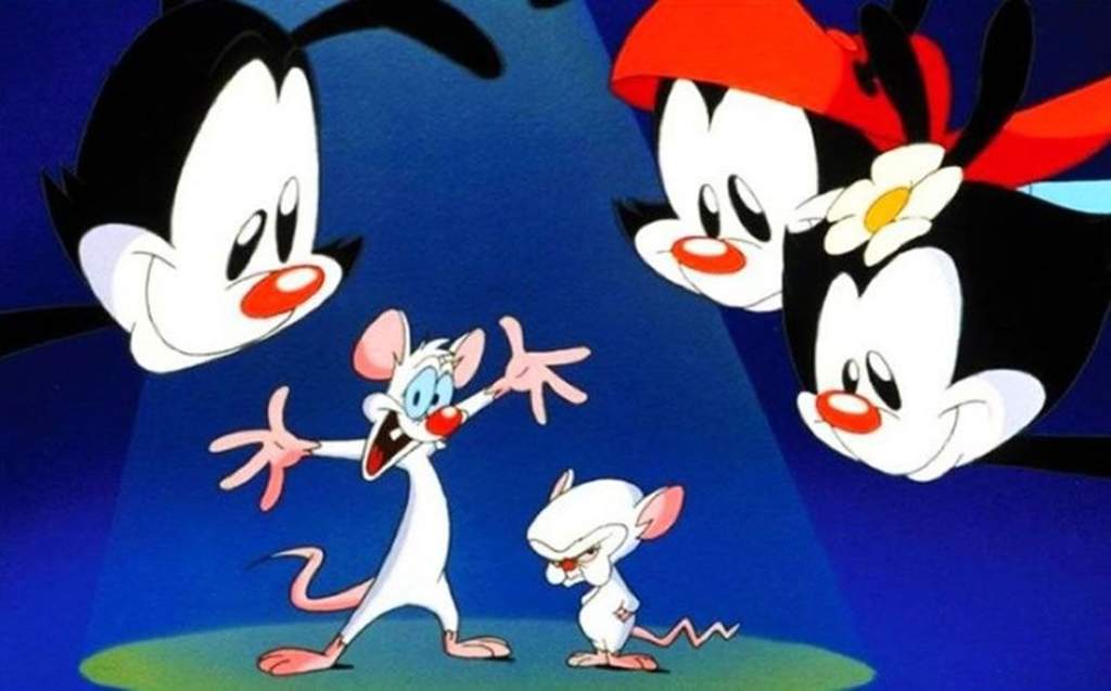Animaniacs y Pinky y Cerebro fueron dos de las caricaturas que marcaron la infancia durante la década de los años 90. A pesar del éxito que gozaron, salieron del aire hace tiempo. (ESPECIAL) 