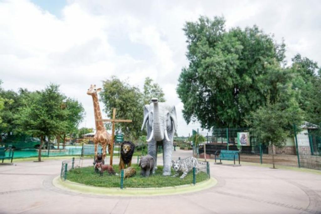 Mientras que parques como el Naucalli y jardines del Valle de México, permanecerán cerrados por el semáforo rojo epidemiológico de alto riesgo de contagio por COVID-19, autoridades de la Secretaría de Medio Ambiente del Estado de México anunciaron la reapertura de 15 zoológicos y parques ecológicos a partir del 23 de junio, con 30 por ciento de aforo. (ARCHIVO)