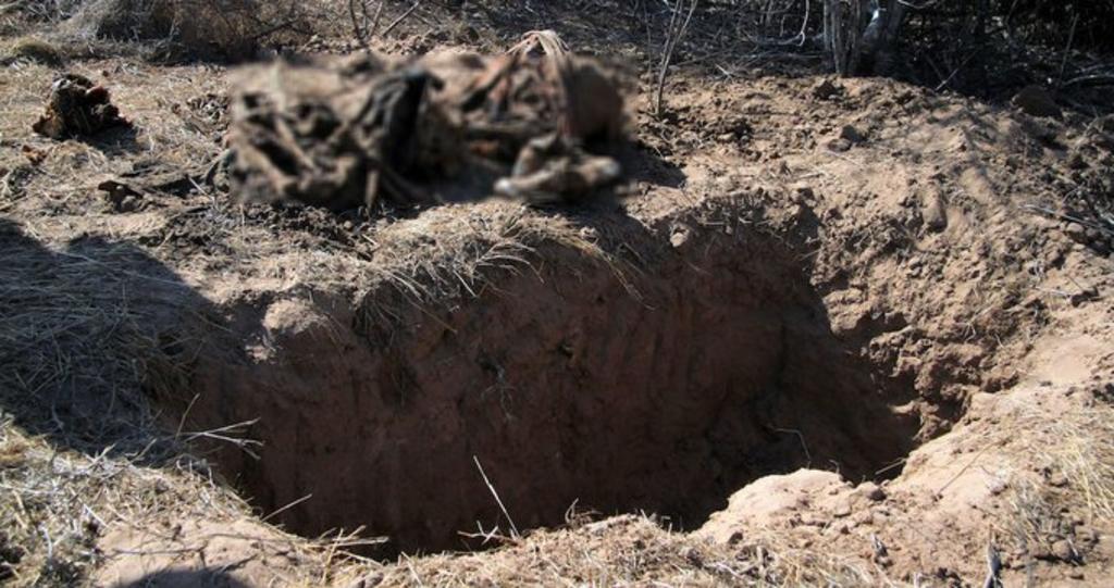 Al menos 12 cuerpos han sido localizados en un tiro de mina, utilizado como fosa clandestina, en el municipio de Aquiles Serdán, cercano a la ciudad de Chihuahua, informó este jueves la Fiscalía General del estado homónimo, ubicado en el norte de México. (CORTESÍA)
