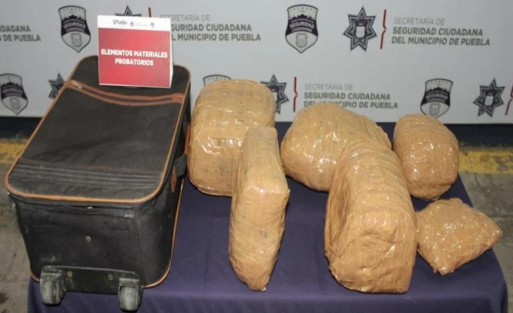 En el marco del Día Internacional de la Lucha Contra el Uso Indebido y el Tráfico Ilícito de Drogas, se reveló que se aseguraron más de 440 kilogramos de marihuana y más de cinco kilogramos y 274 envoltorios de cocaína.
