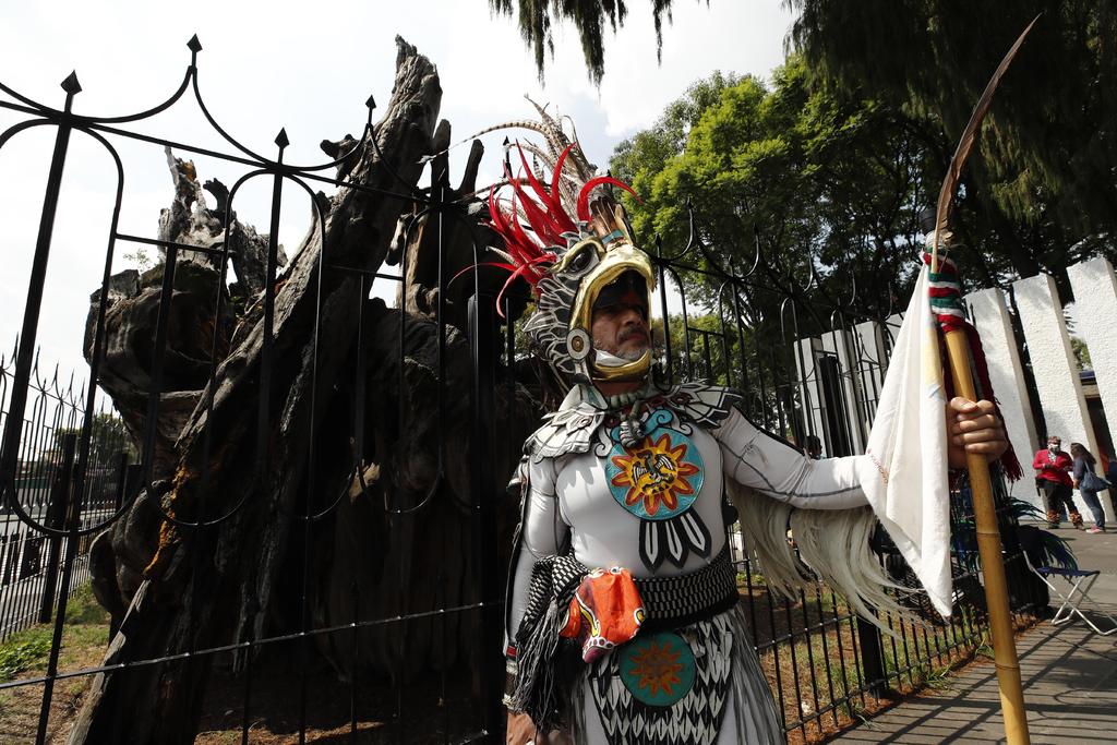 Recuerdan. Ayer martes (día que se cumplieron 500 años), danzantes realizaron rituales frente al Árbol de la Noche triste en Ciudad de México. (EFE)