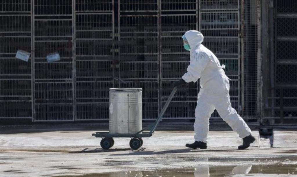 La alerta de nivel 3 se mantendrá hasta finales de este año para prevenir y controlar posibles brotes de peste bubónica, según las autoridades locales. (ARCHIVO)