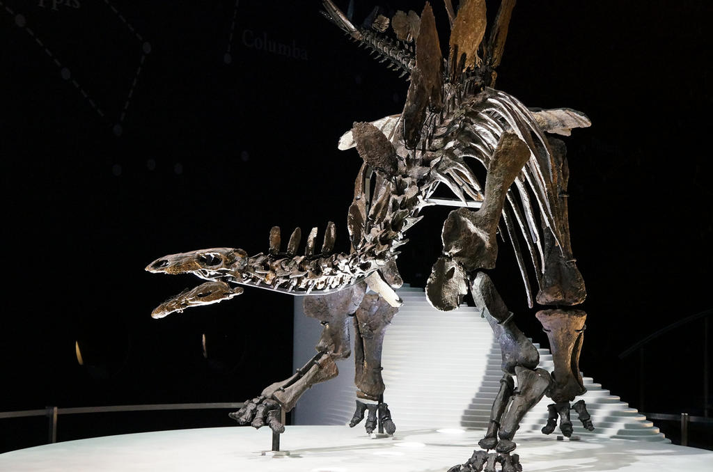 Los dinosaurios y los pterosauros, reptiles voladores del Mesozoico, podrían no haber sido siempre seres gigantes, o al menos así lo afirma un estudio por investigadores de EUA y Madagascar. (ARCHIVO) 