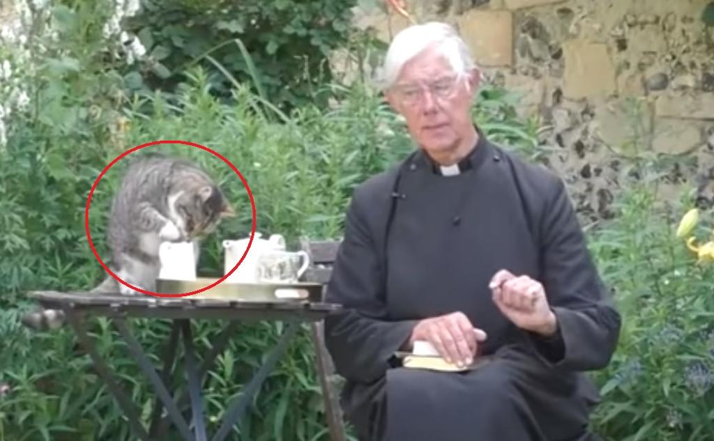 El felino 'Tiger', junto a otros tres gatos, viven con el sacerdote Robert Willis en la ciudad de Canterbury, en Reino Unido (INTERNET)   
