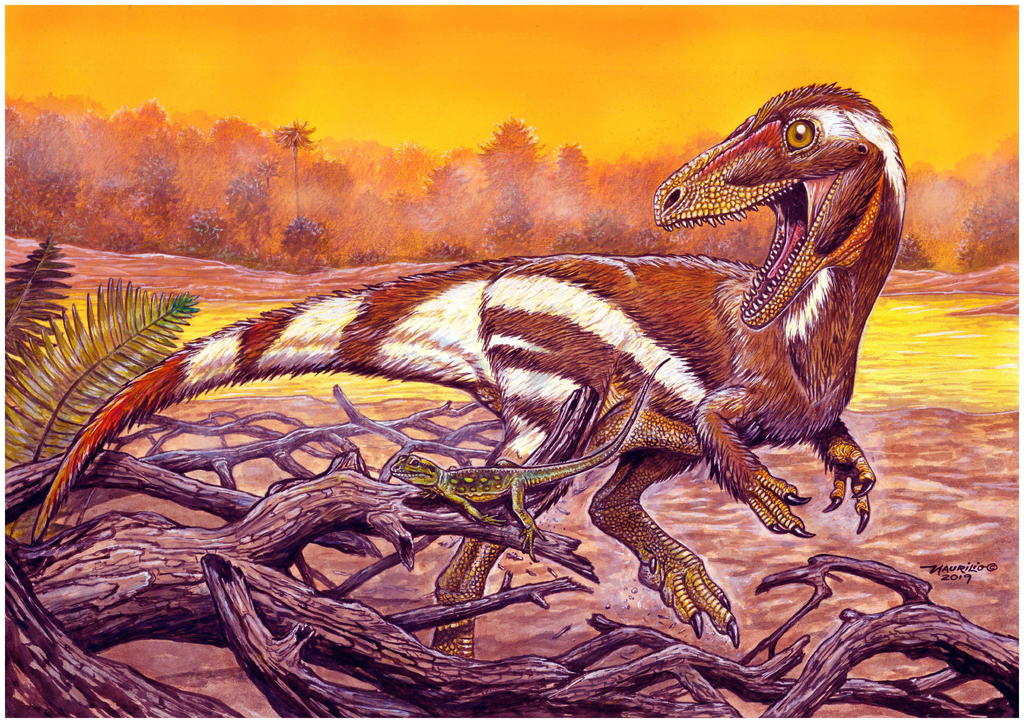 Un fósil de unos 115 millones de años encontrado en el noreste de Brasil y que pertenece a una especie hasta ahora desconocida de dinosaurio fue presentado por científicos del Museo Nacional de Río de Janeiro. (ARCHIVO) 