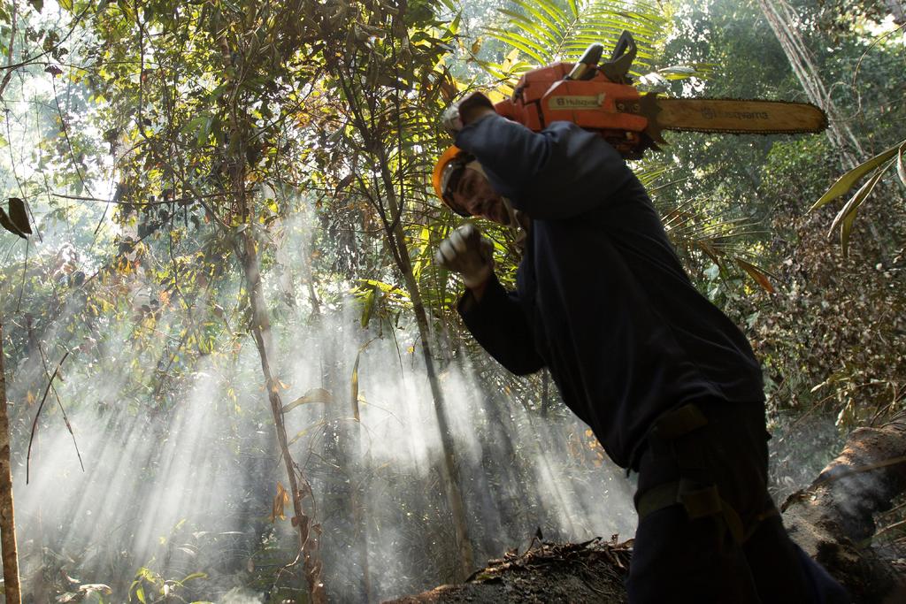 El Gobierno brasileño se comprometió a adoptar “las medidas posibles” para contener la deforestación en la Amazonía. (EFE) 