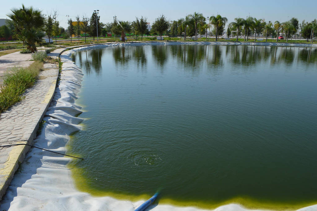 Durante el proceso de relleno de agua se contará con químicos especiales para evitar que nuevamente se presente una zona verde. El lago permaneció sin agua durante todo el año pasado y parte del 2018. (EL SIGLO DE TORREÓN)