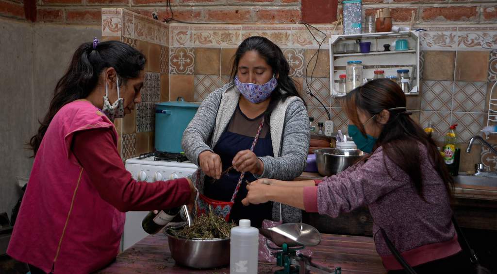 El renacer de las plantas ancestrales en Chiapas para combatir la COVID-19. (ARCHIVO)