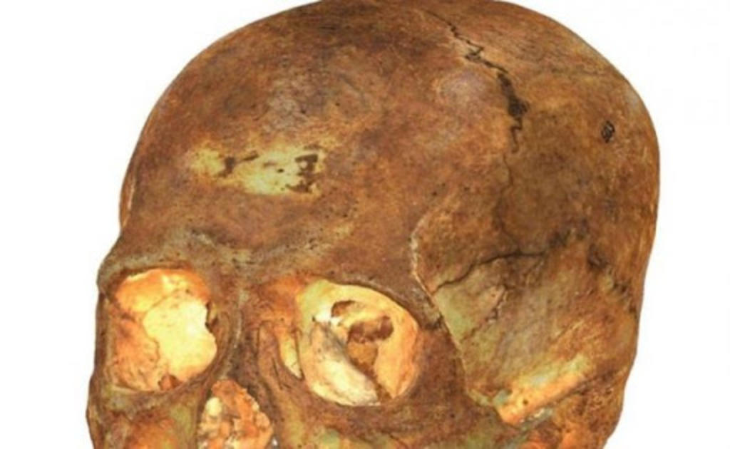 Un equipo internacional, con participación destacada de investigadores españoles, ha reconstruido en 3D trece cráneos humanos precolombinos, de Cuba y Perú, que forman parte de la colección osteológica del Museo Antropológico Montané de La Habana (Cuba). (ESPECIAL) 