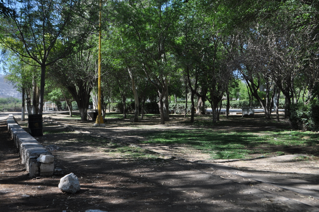 Coordinación de Protección Civil en el Estado ordenará el cierre del parque Raymundo en Lerdo.