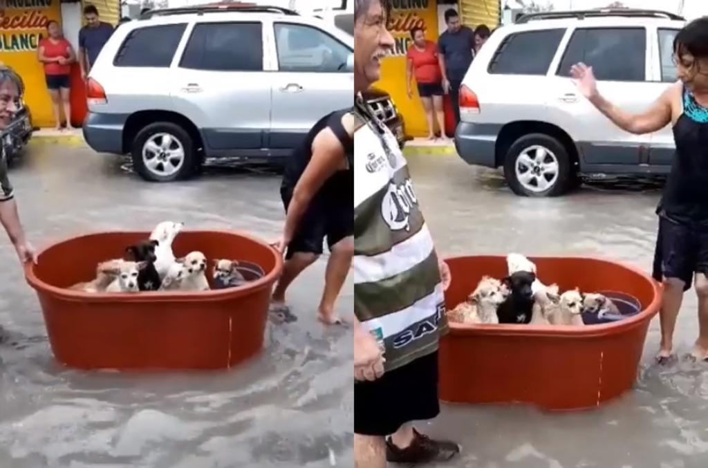 A través de Facebook, la hija de la pareja compartió el video donde se ve a sus padres sacar a los perros con ayuda de una enorme tina, durante las inundaciones por 'Hanna' (CAPTURA)  