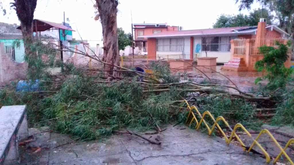 Bardas y estructuras metálicas caídas, hundimientos y árboles derribados sobre las canchas fueron parte del saldo registrado.