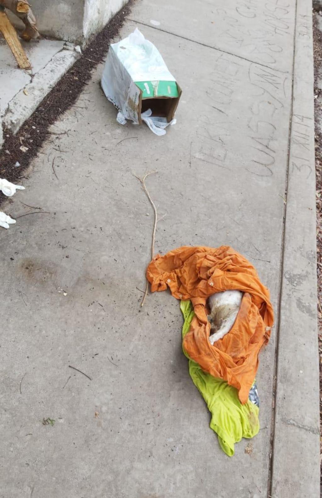 El cadáver del perro se encontraba envuelto en dos camisas en plena calle de la zona Centro de la ciudad de Torreón. (EL SIGLO DE TORREÓN)