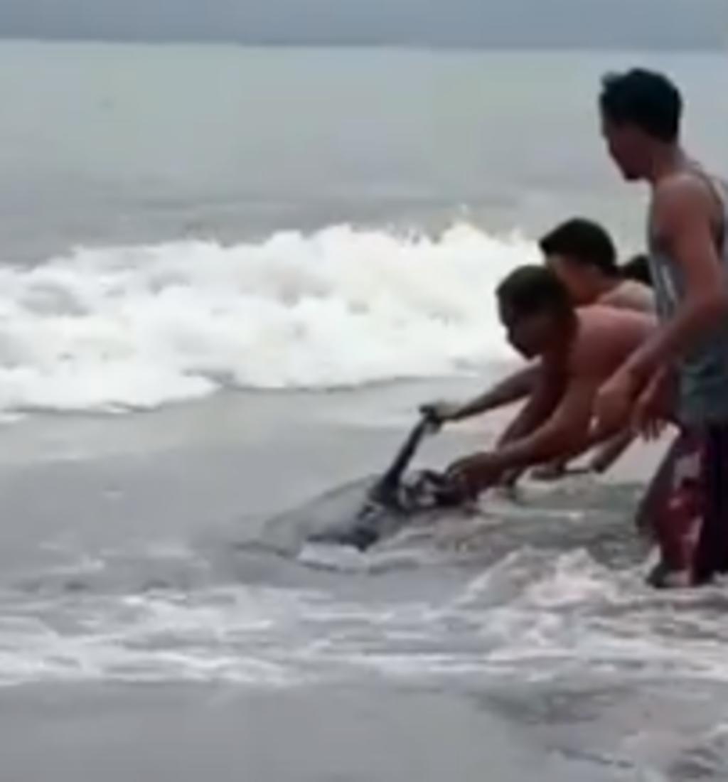Pescadores y sus familias rescatan a 4 ballenas encalladas