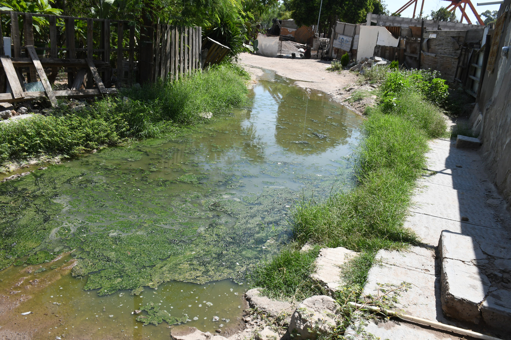 Frente a la casa de doña Gabina Ruiz, una mujer de avanzada edad, se encuentra una laguna de aguas residuales desde hace más de tres meses. (FERNANDO COMPEÁN)