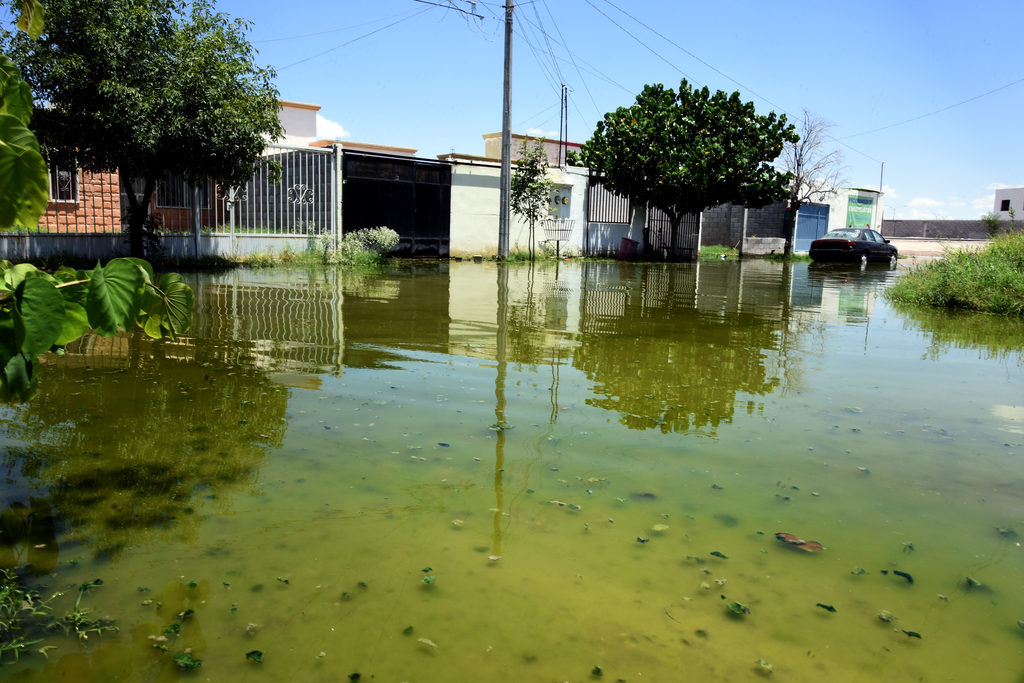 La laguna apareció tras las precipitaciones registradas en Torreón a finales de julio y el agua ya se ha tornado verdosa. (JESÚS GALINDO)