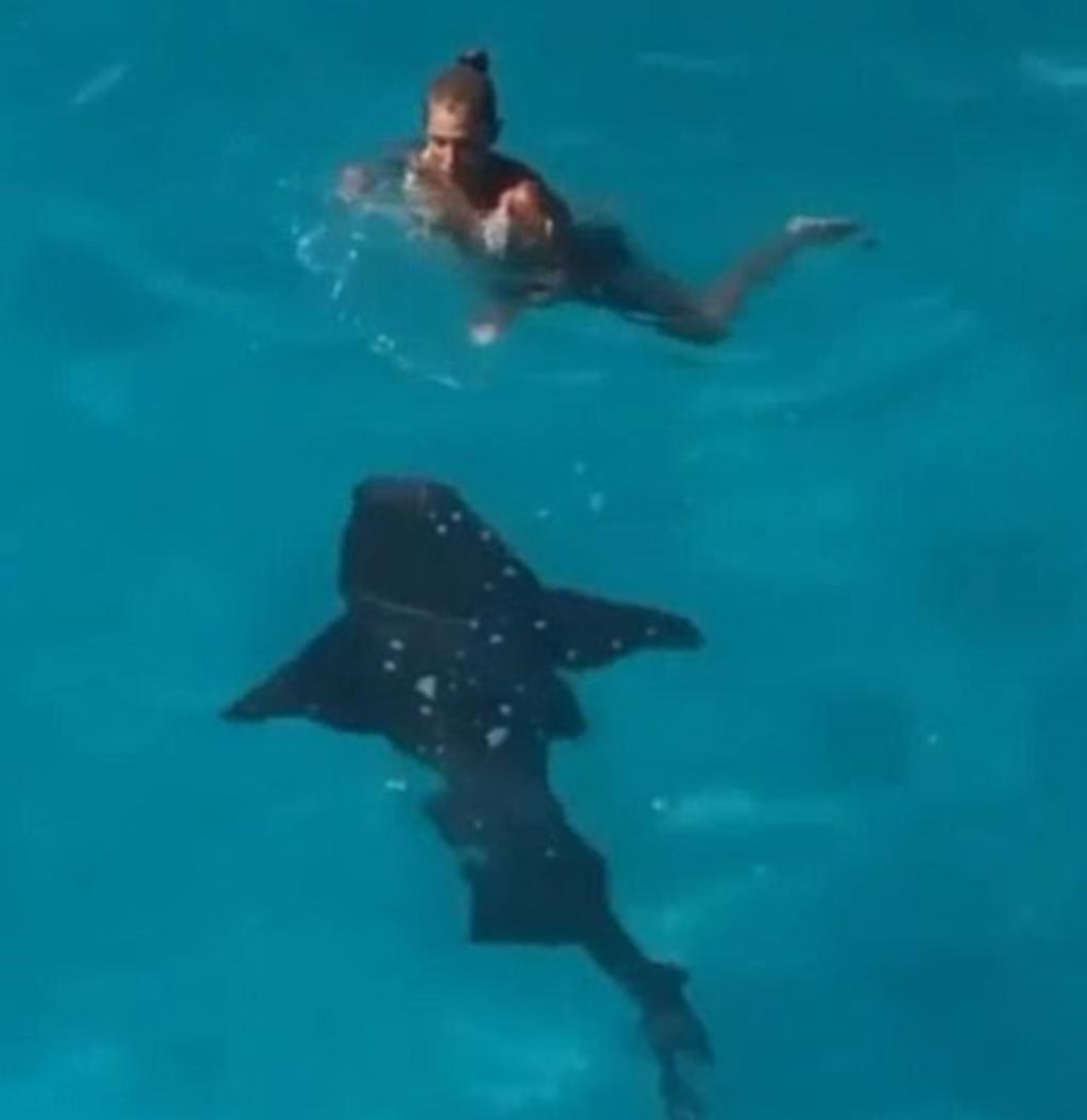 Mujer salta al mar y termina en el camino de un tiburón