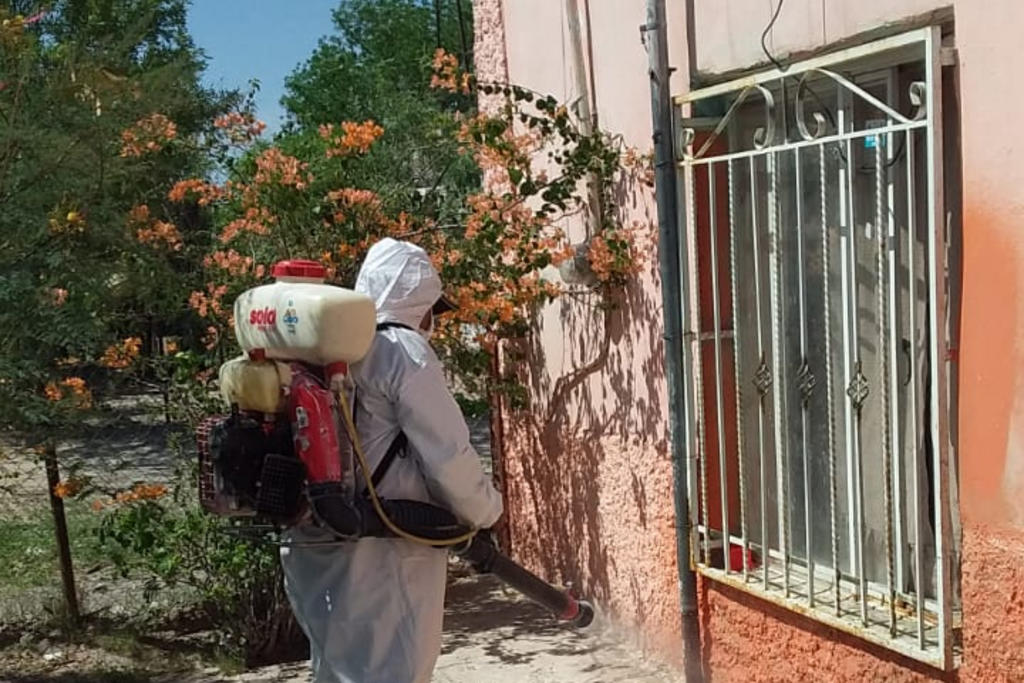 Autoridades sanitarias detectaron una plaga de garrapatas en el ejido San Rafael de Abajo, en el municipio de San Pedro, por lo que ya son dos ocasiones en la que el personal de la Jurisdicción Sanitaria acudió para fumigar las viviendas. (MARY VÁZQUEZ)
