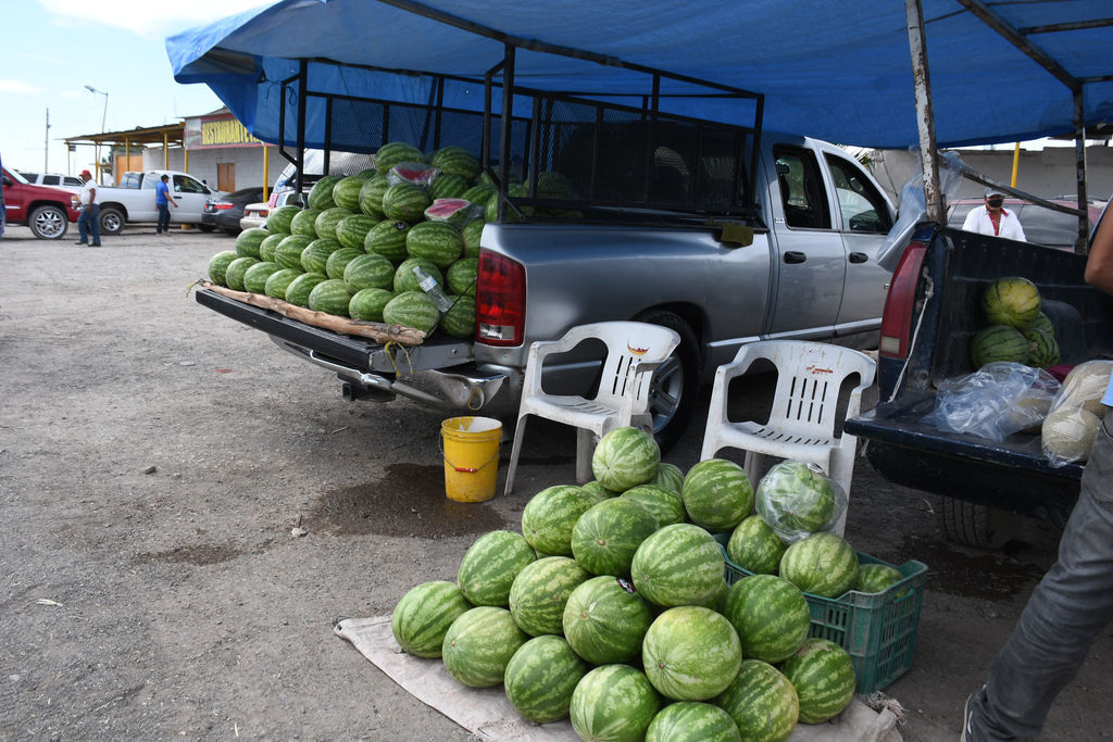 Los regidores de oposición exigirán información al alcalde Horacio Piña sobre el dinero recibido del melón y sandía. (EL SIGLO DE TORREÓN)