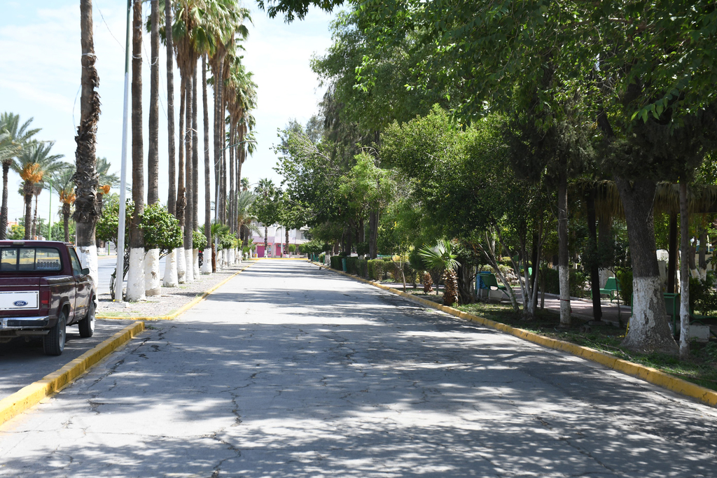 El Colegio de Arquitectos de la Comarca Lagunera explicó que el proyecto del parque no se ha socializado ante profesionistas.
