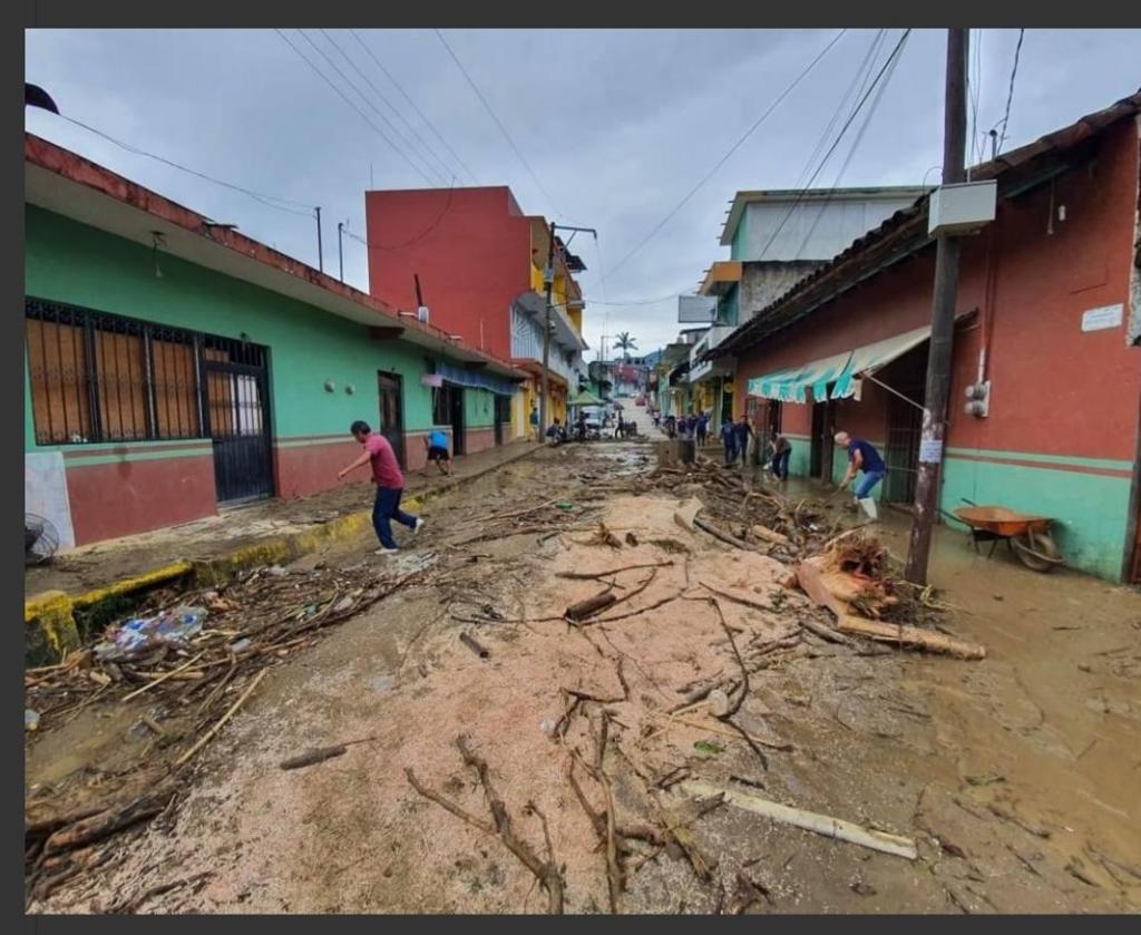 Ambientalistas integrantes de la Organización Civil Calixaxan en Coyutla, Veracruz denunciaron que la deforestación causada por el programa Sembrando Vida agudizó la inundación de la semana anterior. (ESPECIAL)