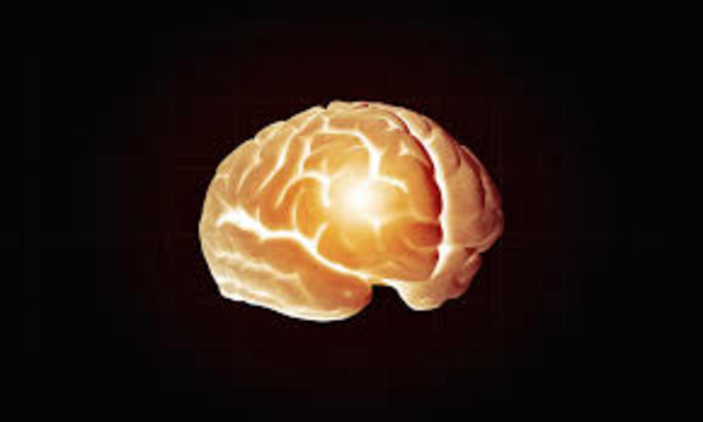 'Todos los cerebros son diferentes', dice a Efe Raúl González, uno de los investigadores principales de un proyecto sobre el desarrollo cerebral en la adolescencia que tiene como objeto de estudio a casi 12,000 niños estadounidenses y va a extenderse al menos 10 años. (ESPECIAL) 