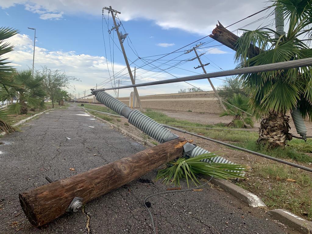 Distintos estragos ocurrieron en Torreón tras las lluvias, como la caída de aproximadamente 18 postes de la CFE.