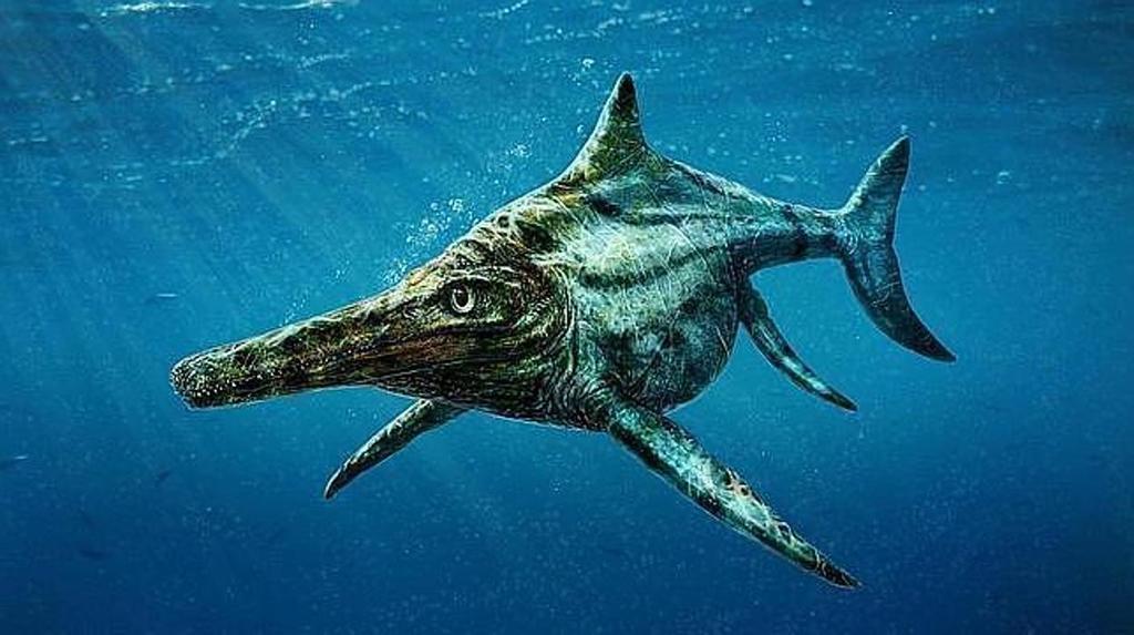 Los fósiles esconden secretos, muchas veces sorprendentes e inesperados, como el hallazgo de un equipo de paleontólogos al suroeste de China: un fósil de un animal de cuatro metros dentro del estómago del esqueleto casi completo de un reptil marino gigante, similar a un delfín y conocido como ictiosaurio. (ESPECIAL) 