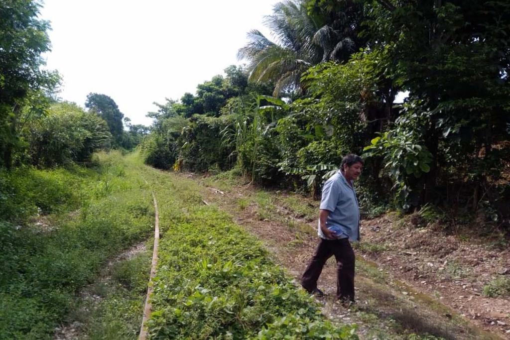 Unos 100 representantes de las comunidades que pertenecen a los municipios indígenas de San Juan Guichicovi y Matías Romero, Oaxaca, iniciaron este lunes una jornada de protestas en contra de la modernización del Tren Transístmico. (ARCHIVO)