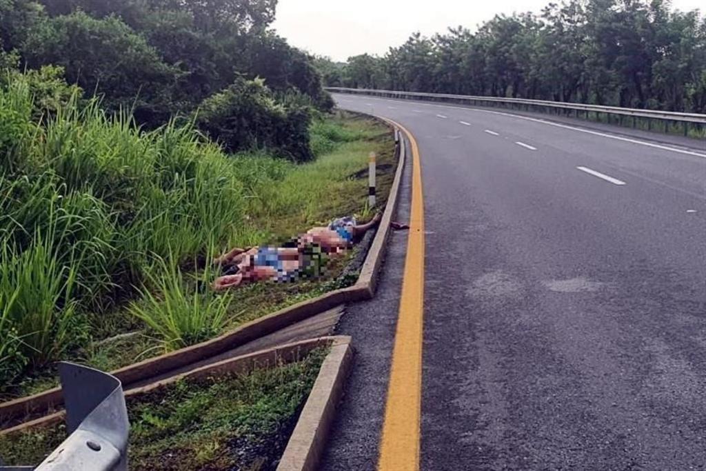 Los cuerpos se encuentran semidesnudos, maniatados y con el tiro de gracia, y fueron hallados en una carretera federal a 2 kilómetros de un retén de la Guardia Nacional.
(ESPECIAL)