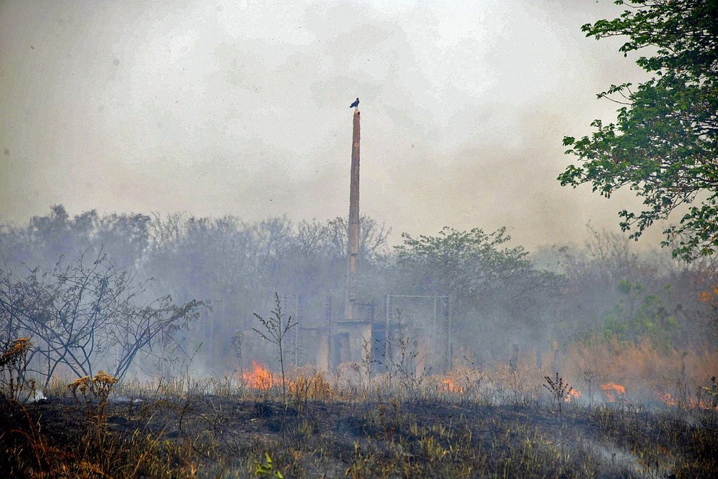 Desde el primero de enero y hasta el 31 de agosto se han contabilizado 91,130 focos de incendio en todo Brasil. (EFE)