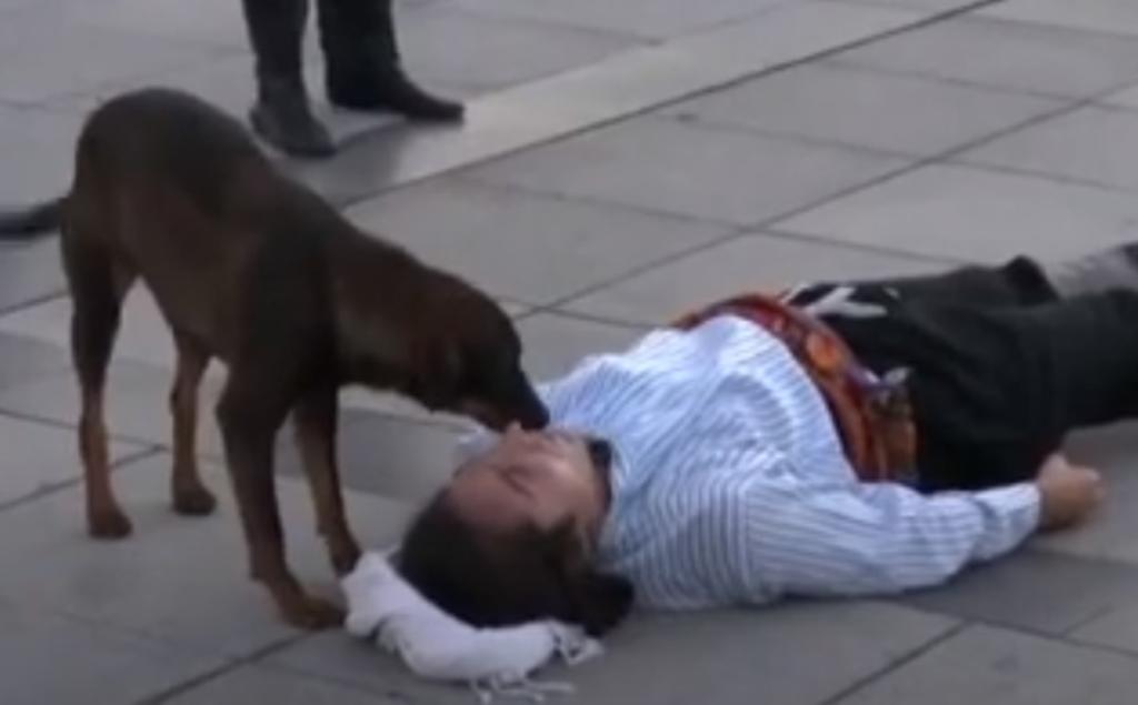 El can se le acercó al actor para lamerlo con la intención de 'despertarlo' (CAPTURA) 