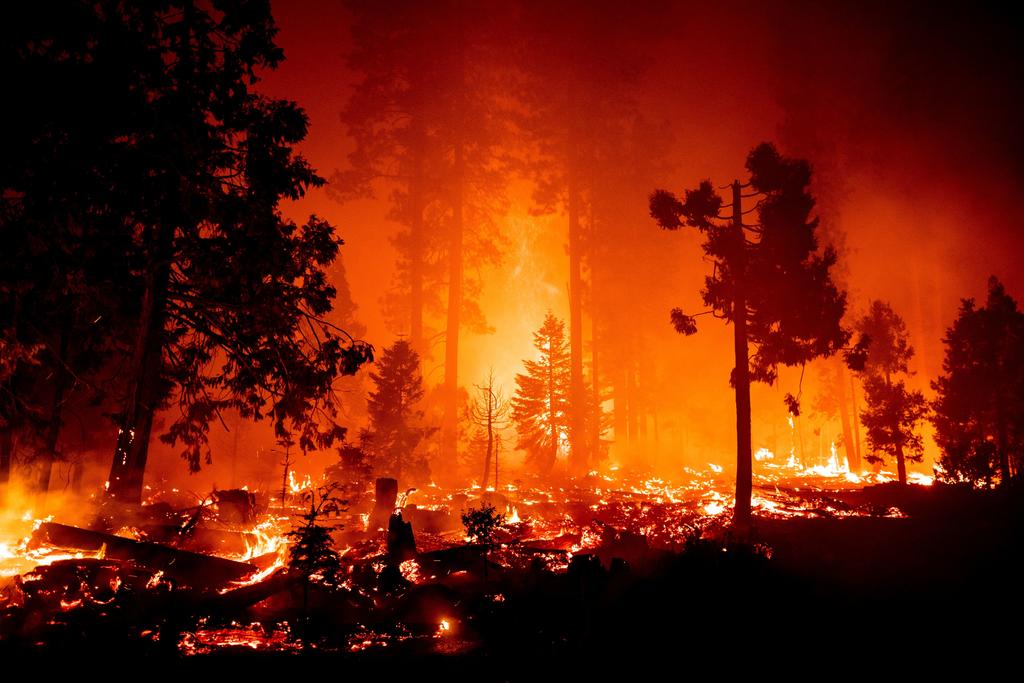 En momentos en los que un enorme incendio forestal arrasaba con el Bosque Nacional Sierra de California el lunes, las autoridades extendieron las órdenes de evacuación a más comunidades montañosas. (ARCHIVO) 