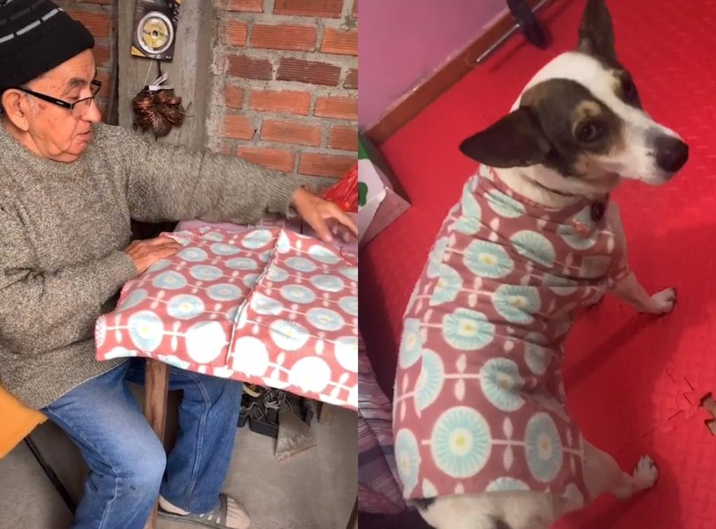El hombre se encargó de confeccionar el suéter para su perro, utilizando una tela similar a la que posee la cama de éste (CAPTURA) 