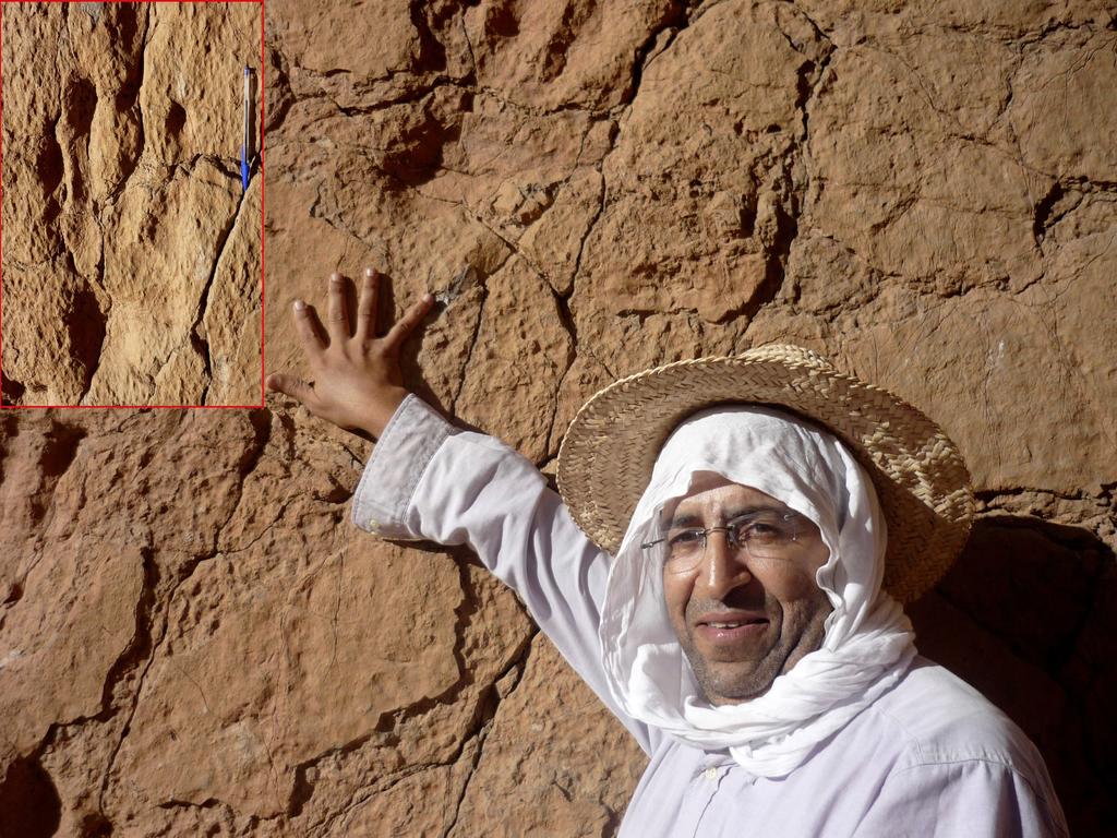 Un paleontólogo marroquí y sus estudiantes han logrado a través de las redes sociales impedir la destrucción de un sitio de huellas de dinosaurio en el sur de Marruecos que iba a ser convertido en una cantera. (ARCHIVO) 