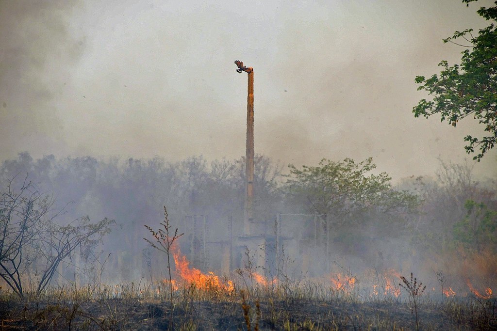 Los incendios en la Amazonía se redujeron levemente con respecto al año pasado, pero su número sigue siendo elevado. (ARCHIVO) 