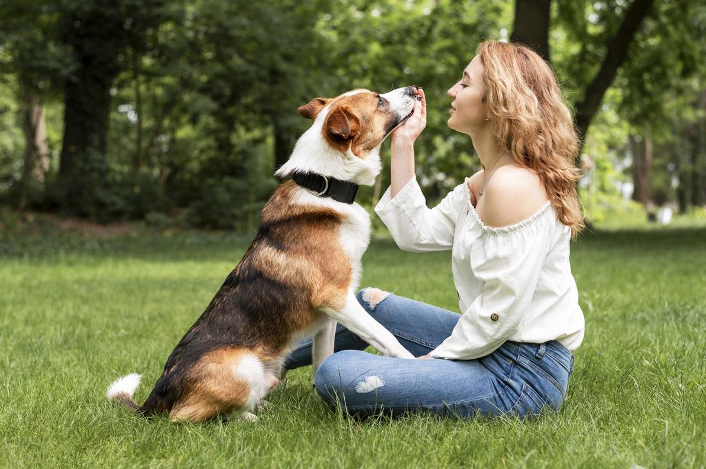 Algunos perros encuentran muy placentero el 'masaje' que se dan en el césped o en una alfombra. (ARCHIVO)
