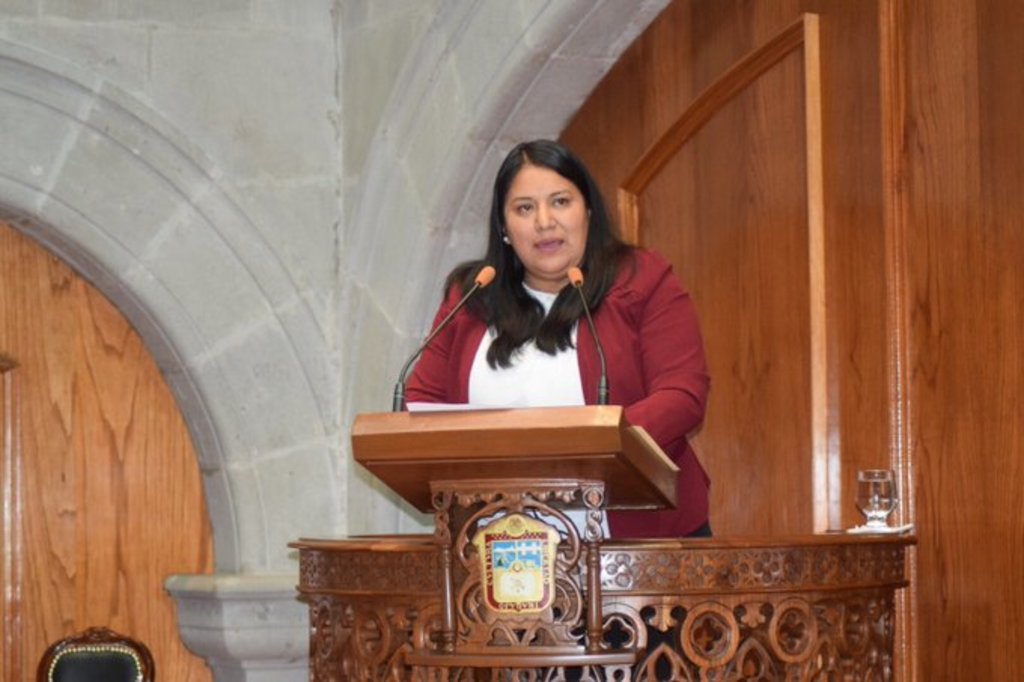 La proponente, Beatriz García Villegas, manifestó que la iniciativa fue presentada en distintas ocasiones.