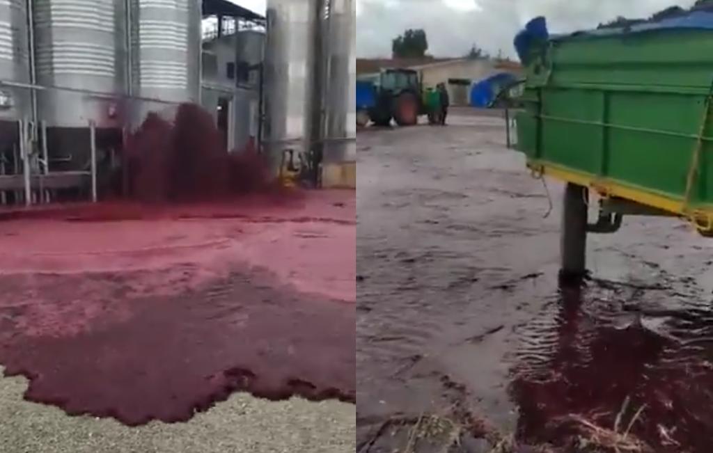 En la bodega de vino ubicada en España, se formó un enorme río con la bebida alcohólica derramada en el suelo (CAPTURA)  