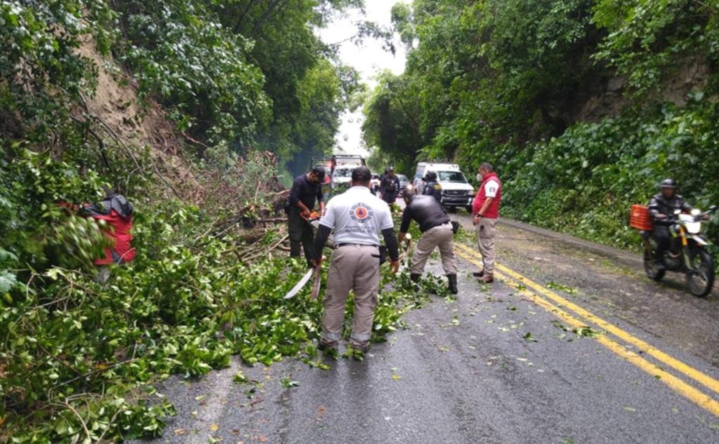 En el municipio de Papantla se reporta un derrumbe en la carretera Poza Rica–Papantla, obstruyendo un carril.
(EL UNIVERSAL)