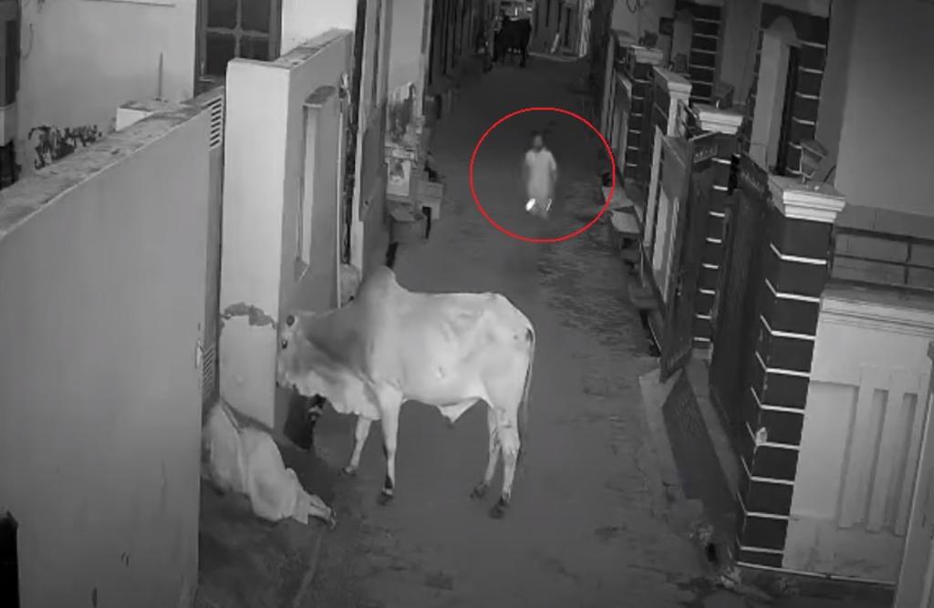 Cámaras de la zona captaron el momento del ataque del toro en video (CAPTURA) 