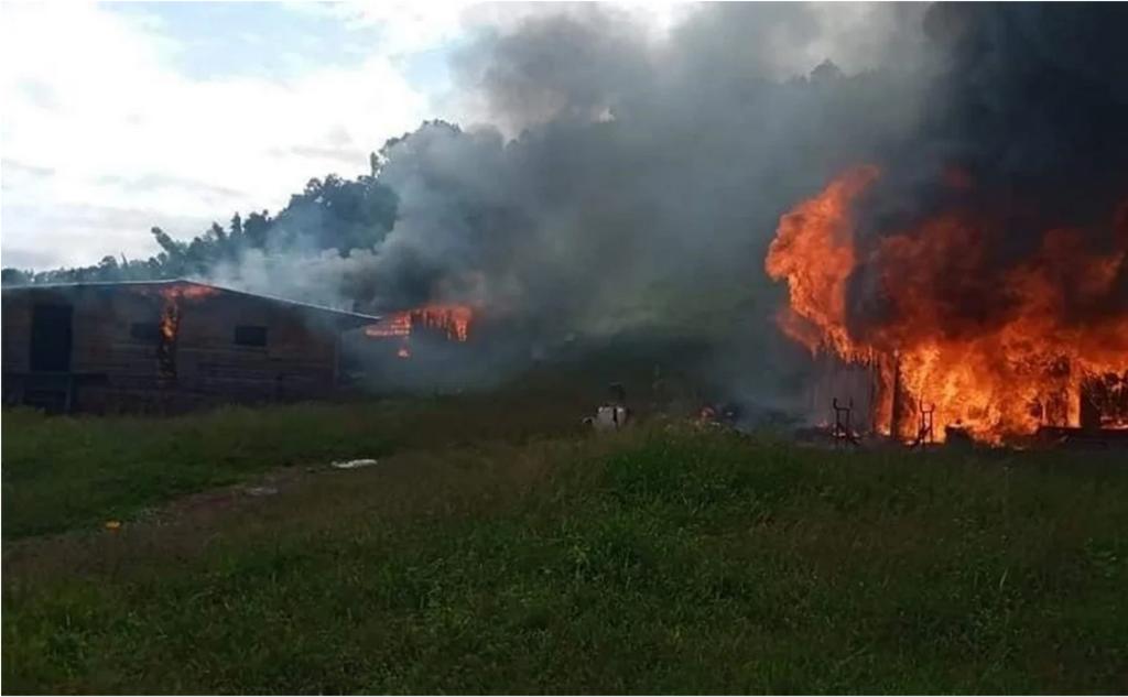 Un grupo armado quemó unas 10 viviendas y se robaron unas 200 reses la mañana de este martes en la comunidad de El Durazno, en la sierra del municipio de Coyuca de Catalán, en la región de la Tierra Caliente. (ESPECIAL)