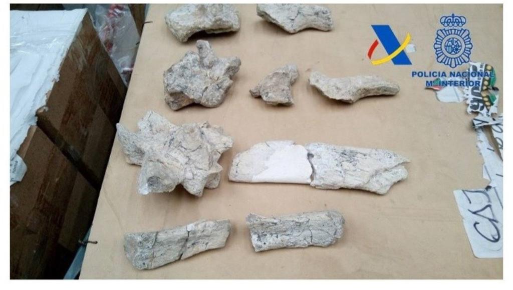 Agentes de la Policía española y de la Agencia Tributaria frustraron una importación ilegal de 4,000 fósiles de gran valor paleontológico procedentes de la región argentina de Río Negro. (ARCHIVO) 