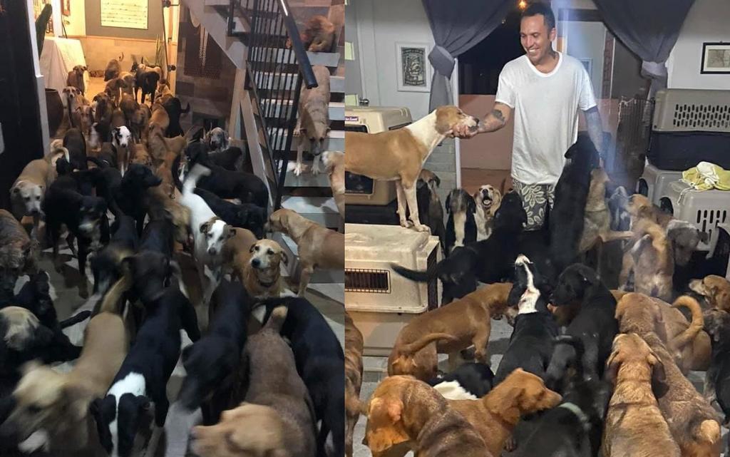 Pese a las dificultades, Ricardo Pimentel se las arregló para resguardar a más de 300 animales y brindarles comida durante el paso de 'Delta' (FACEBOOK) 