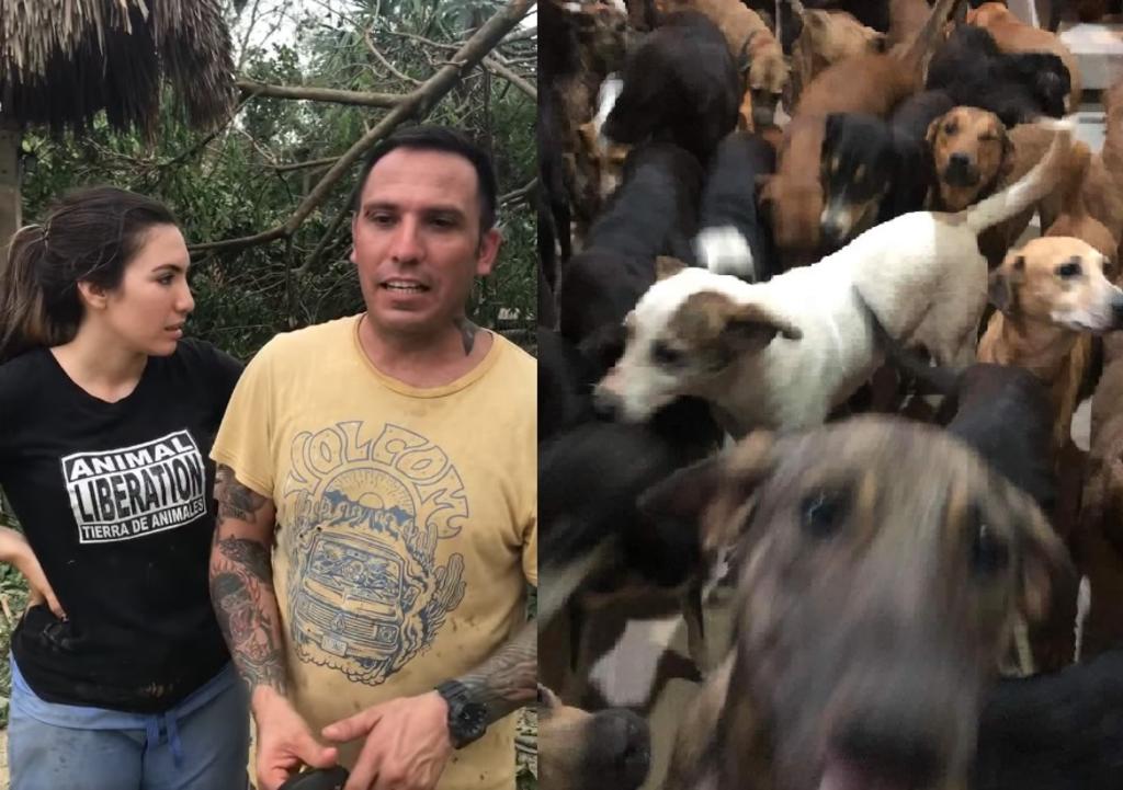Además de los perros, Pimentel se dio a la tarea de resguardar a otros animales ante el paso del huracán 'Delta' (CAPTURA) 