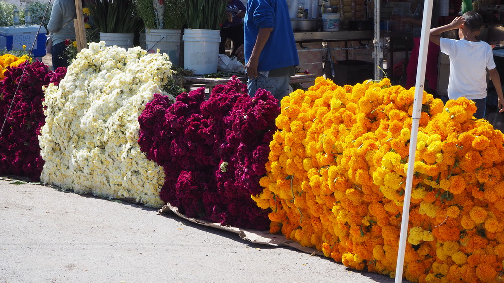 El Ayuntamiento de Lerdo tomó la decisión de no otorgar permisos a los comerciantes para vender flores el Día de Muertos.