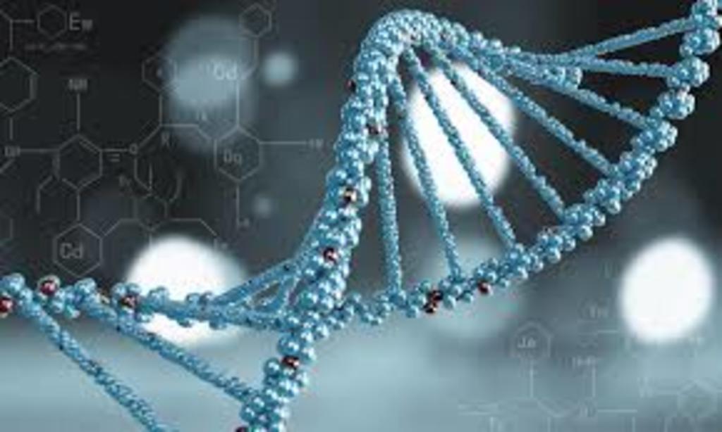 Científicos España, de Portugal y de Italia desarrollarán pruebas de ADN definitivas para determinar el verdadero origen de Cristóbal Colón. (ESPECIAL) 