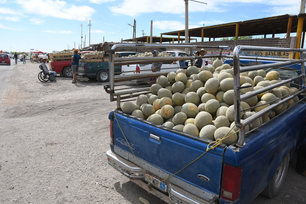 Los productores destacaron que el melón contribuye a reactivar la economía de Matamoros. (EL SIGLO DE TORREÓN) 