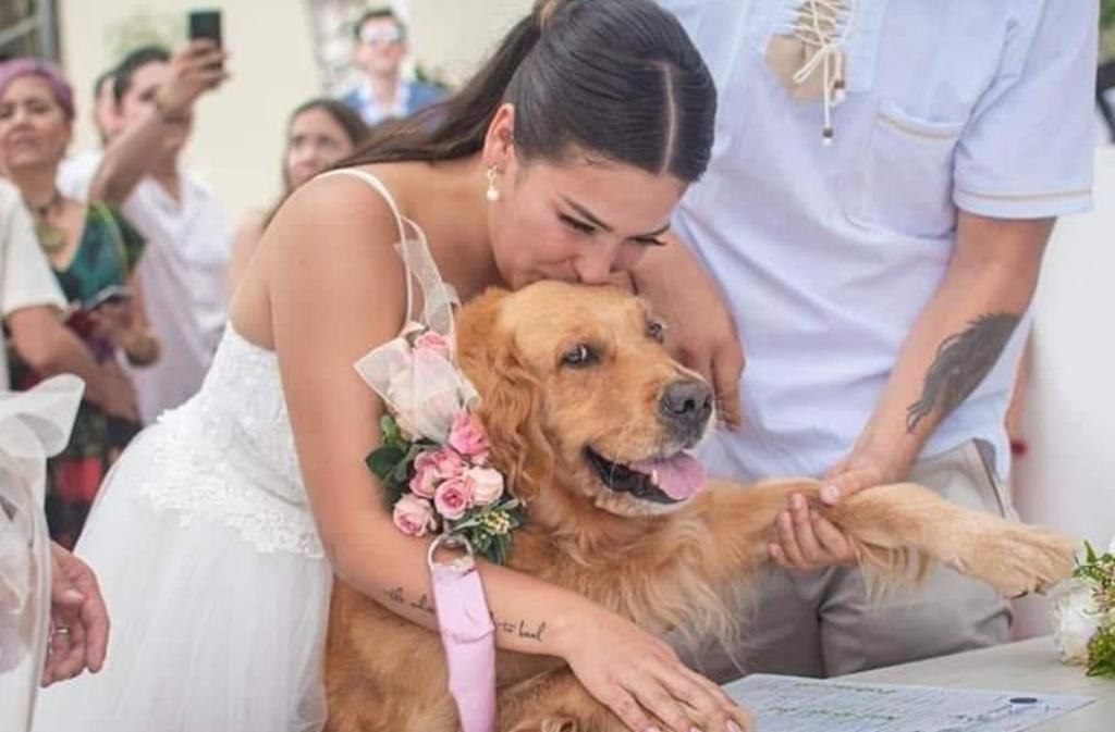 Las fotografías del can junto a la pareja han 'conquistado' a la red (CAPTURA)  