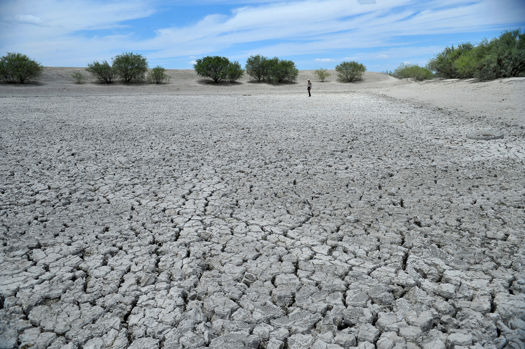 Este año, de acuerdo con el monitor de sequía que maneja el Servicio Meteorológico Nacional de la Conagua, más de la mitad del territorio estatal presenta problemas de falta de lluvias y humedad en el subsuelo. (EL SIGLO DE TORREÓN) 